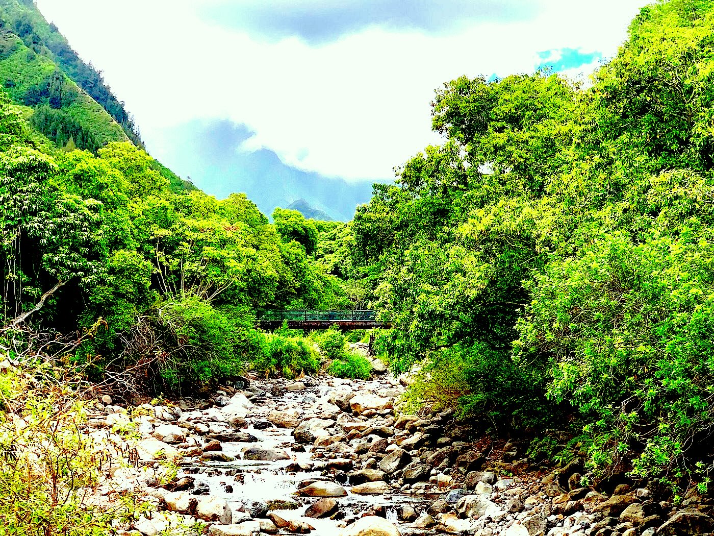 Maui’s Cultural Journey: A Shuttle Through Time