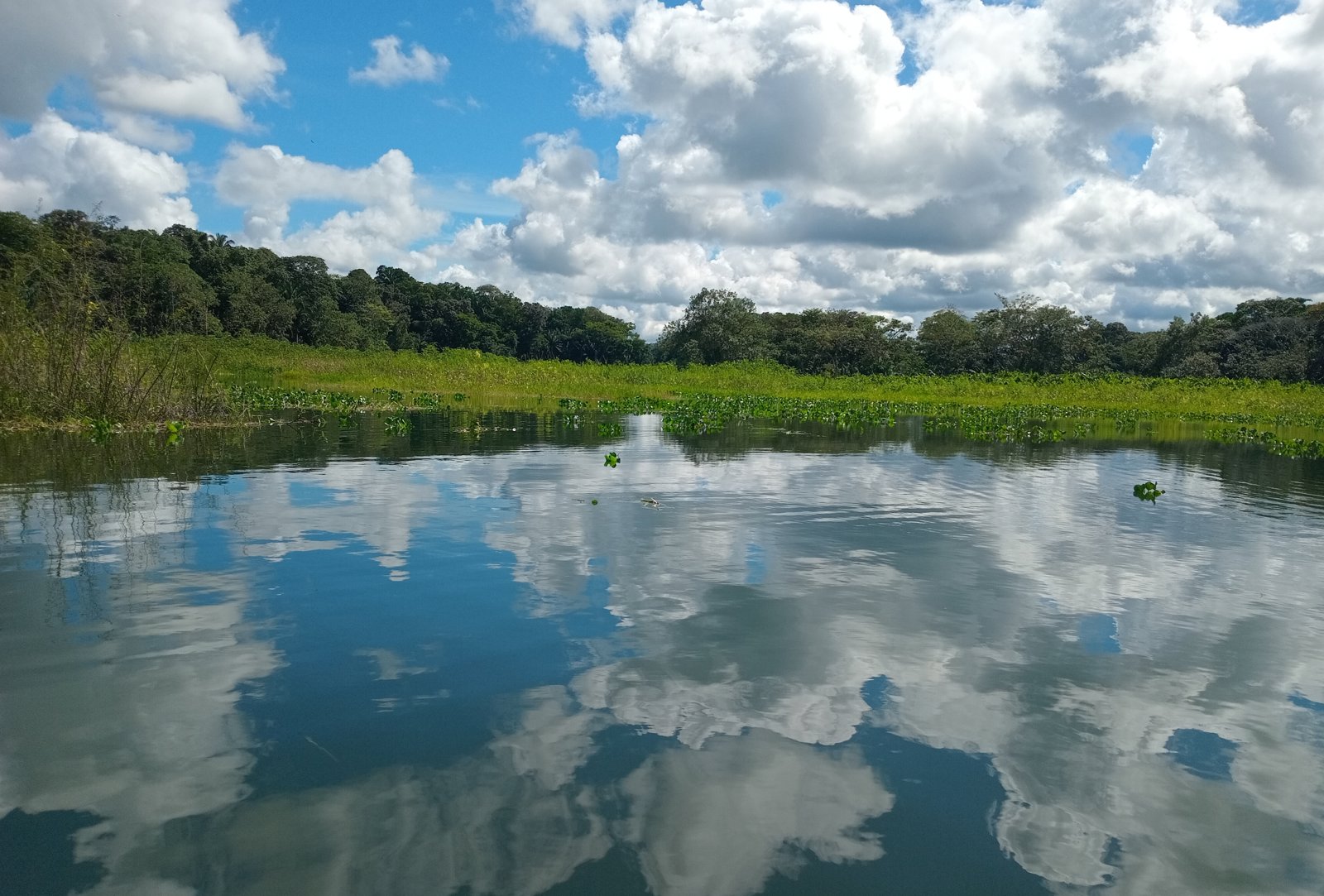 Gamboa Rainforest and Chagre River Boat Sail