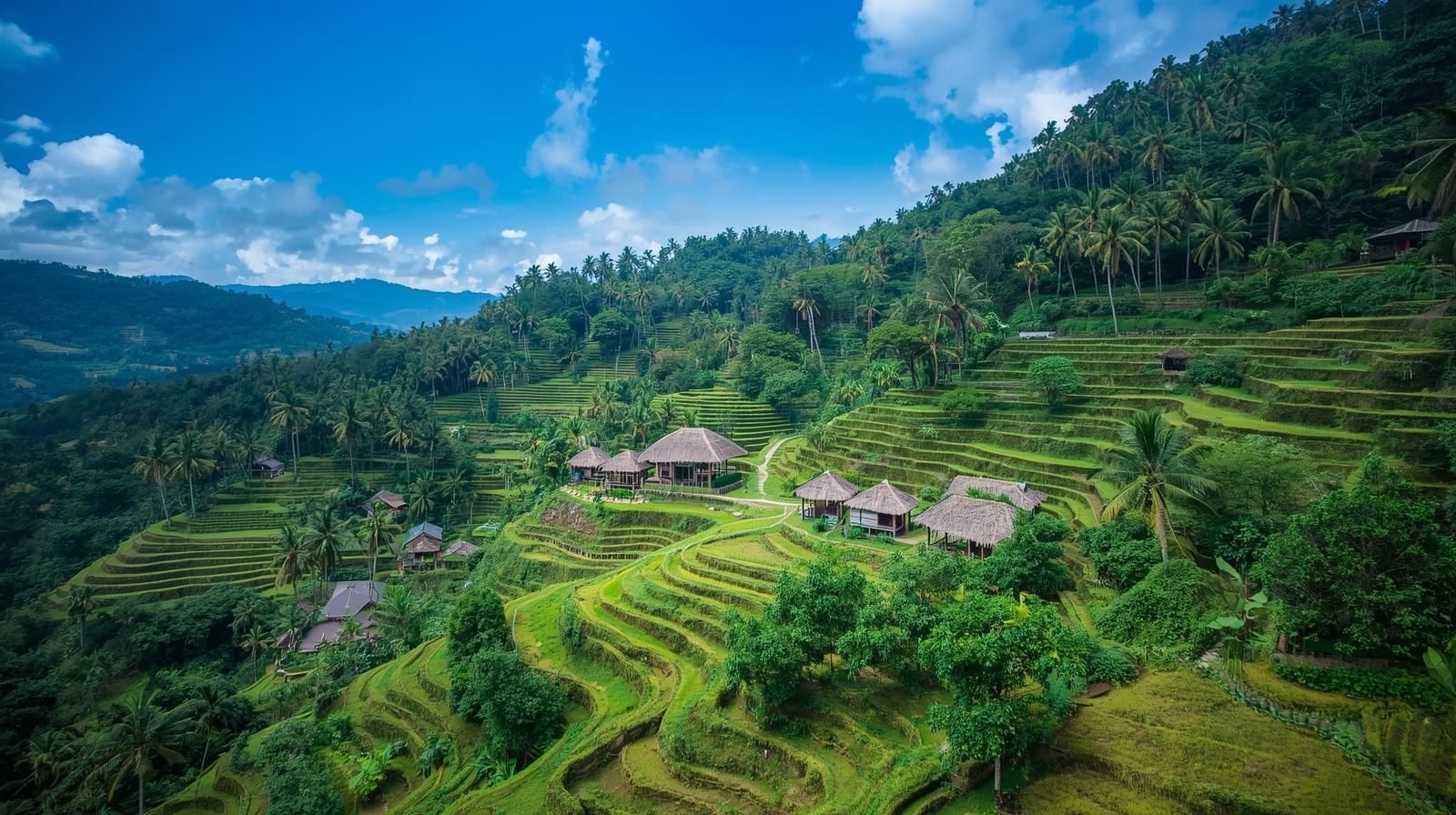Private Balinese Temple and Lombok Markets