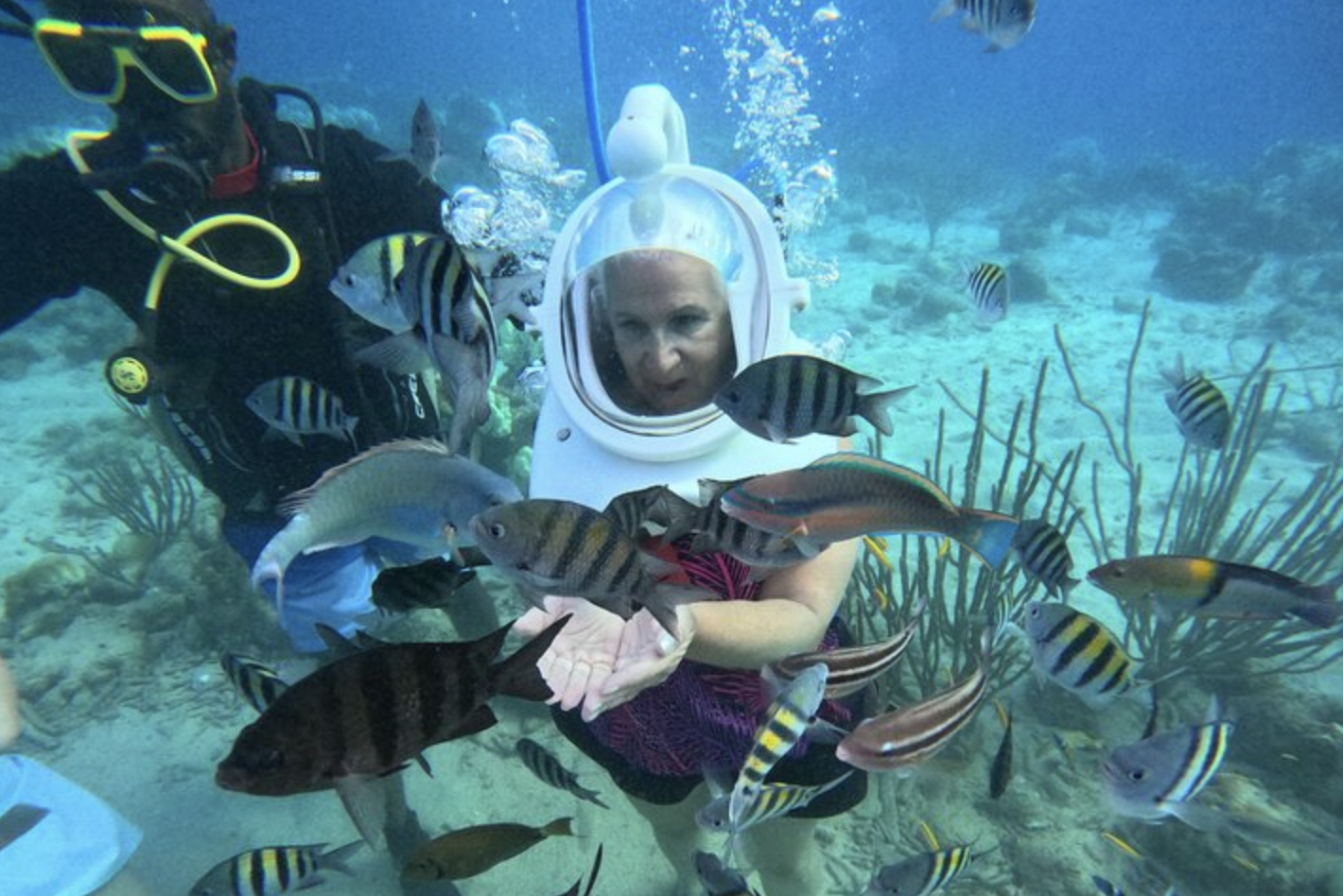 Walk Beneath the Waves