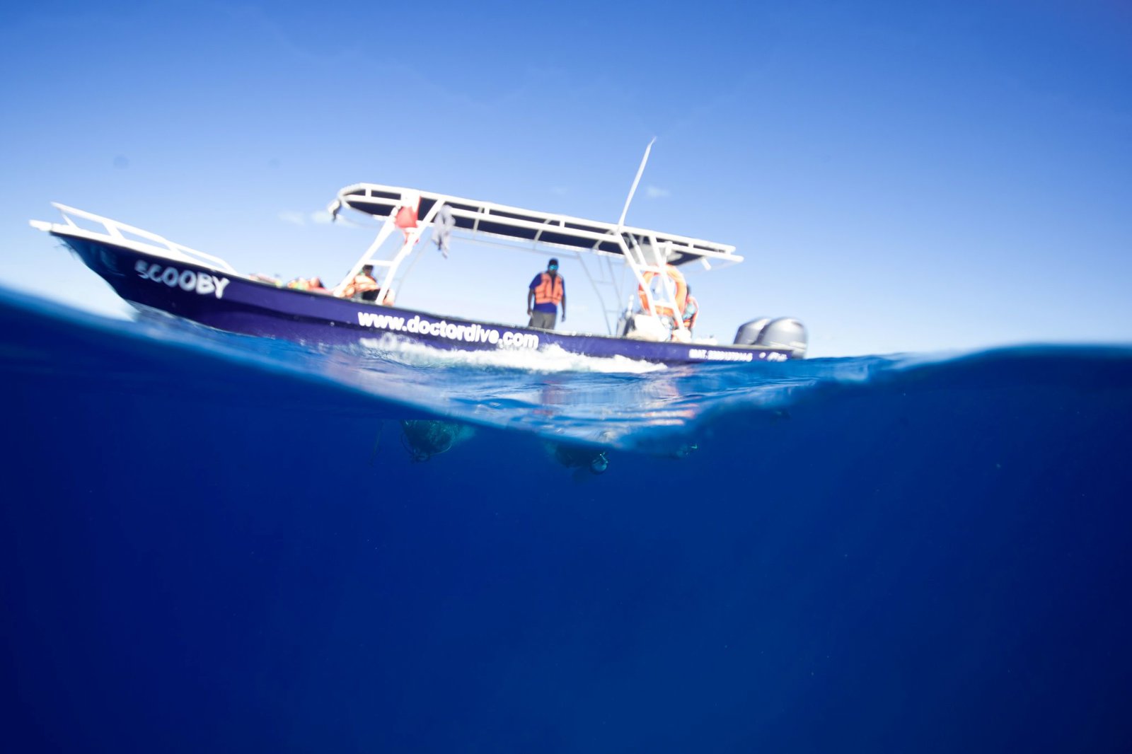 Discover Scuba Diving on the Mesoamerican Reef – The Perfect First Dive Adventure