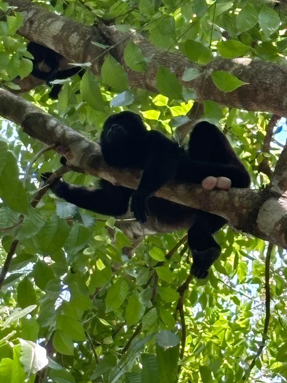 Wildlife Rescue Center Tour