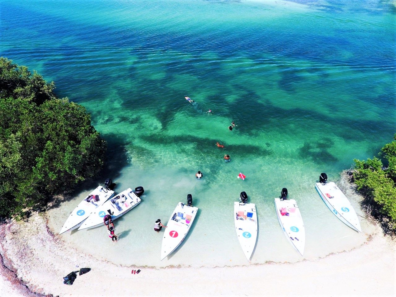 Safari Eco Tour with Snorkeling: Key West’s Ultimate Off-the-Grid Adventure