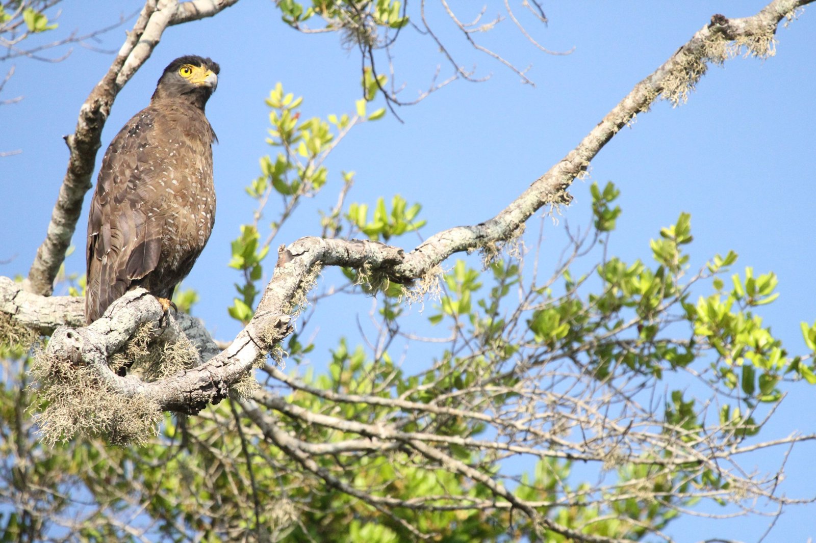 The Best of Hambantota: Exclusive Small Group Yala National Park