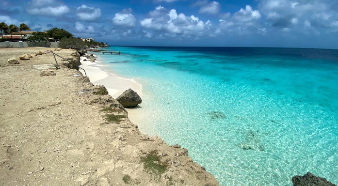 Bonaire Coral Reef Snorkel 