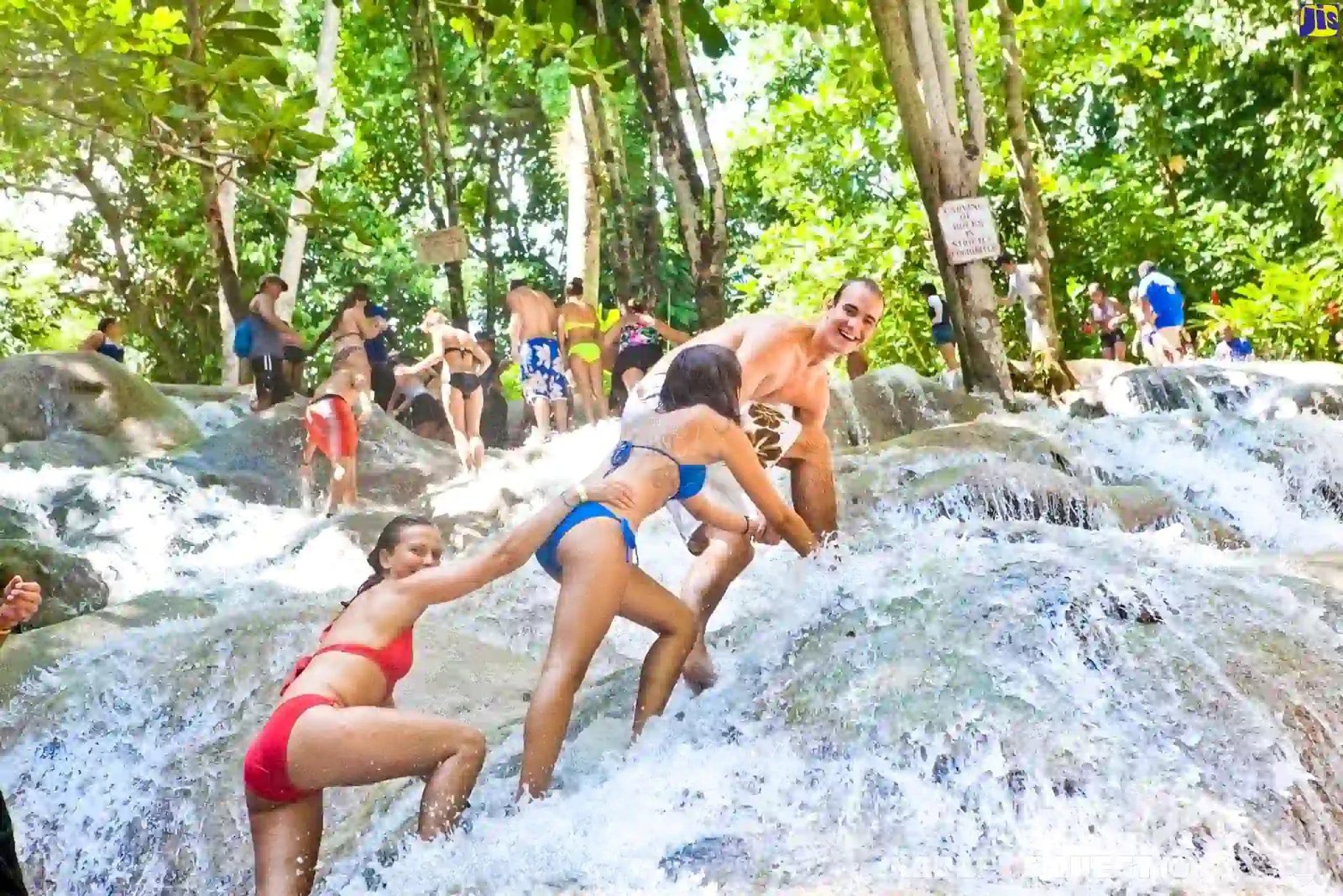 Private Custom Jamaica Island Tour – Travel Your Way