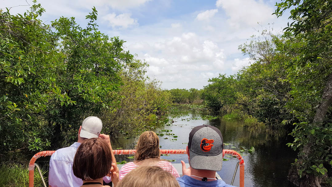 Southern Everglades with Boat Ride and 3 Hikes