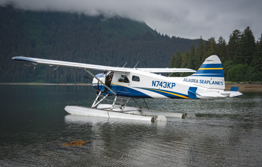 Flightseeing and Hiking - Brown Bear Viewing
