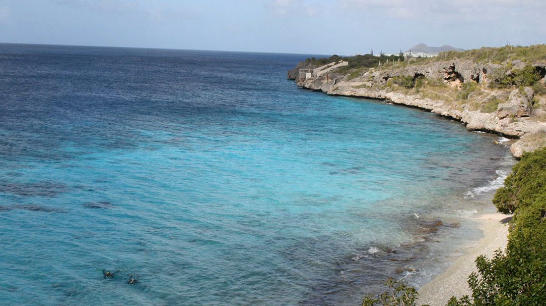 Northern Bonaire Nature Tour