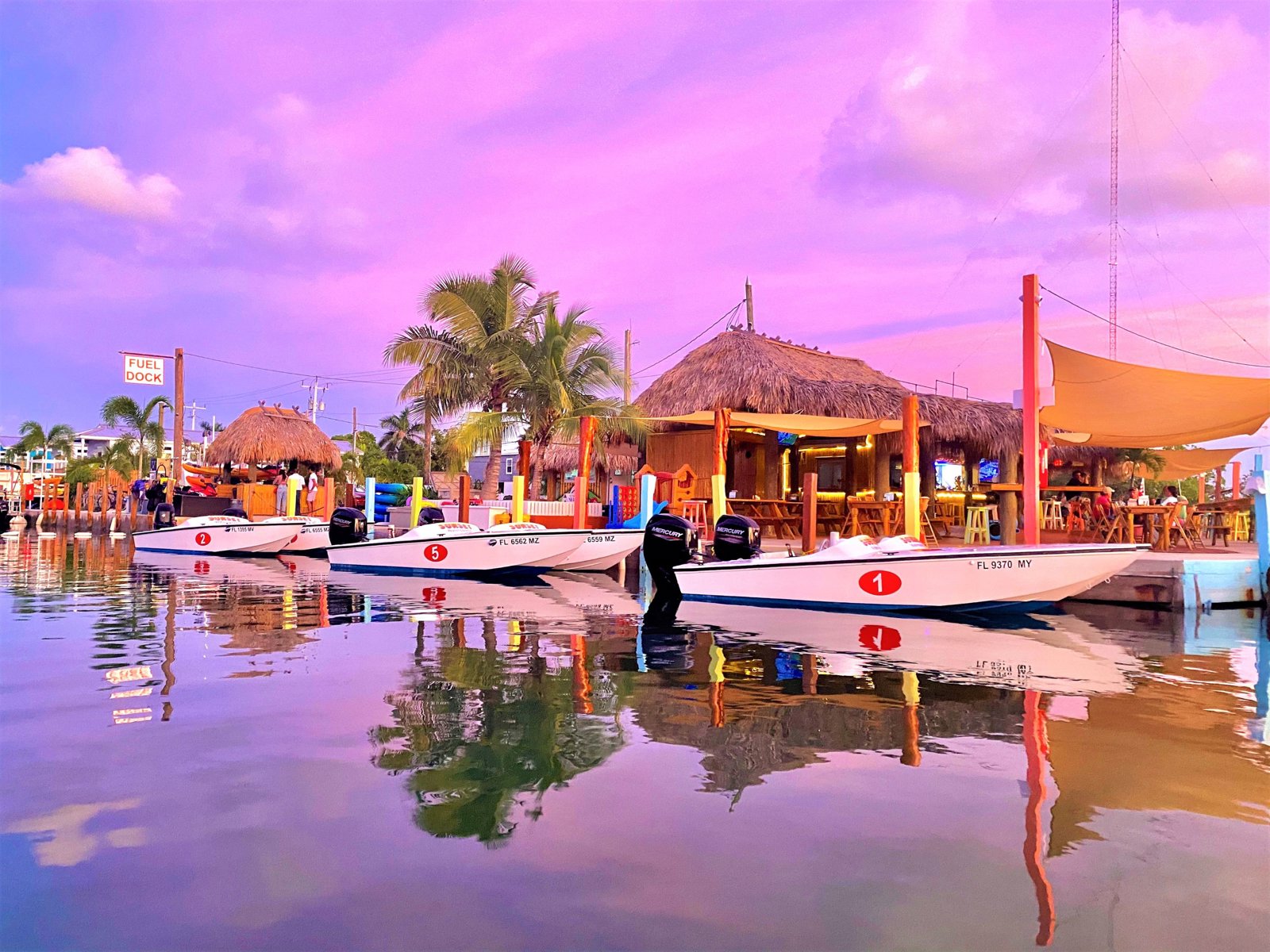Safari Eco Tour with Snorkeling: Key West’s Ultimate Off-the-Grid Adventure