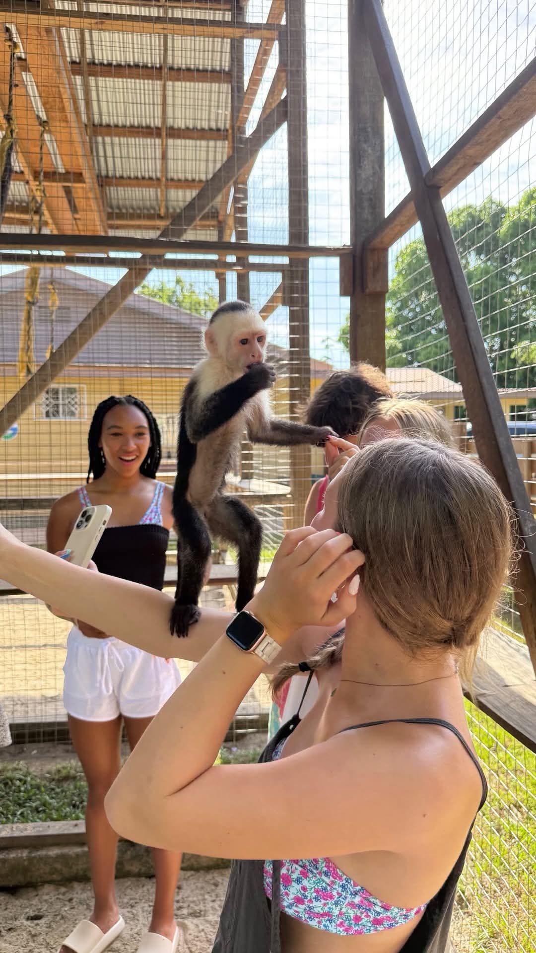 Brady's Cay Day Pass with Snorkeling plus Monkeys and Sloth Park Visit