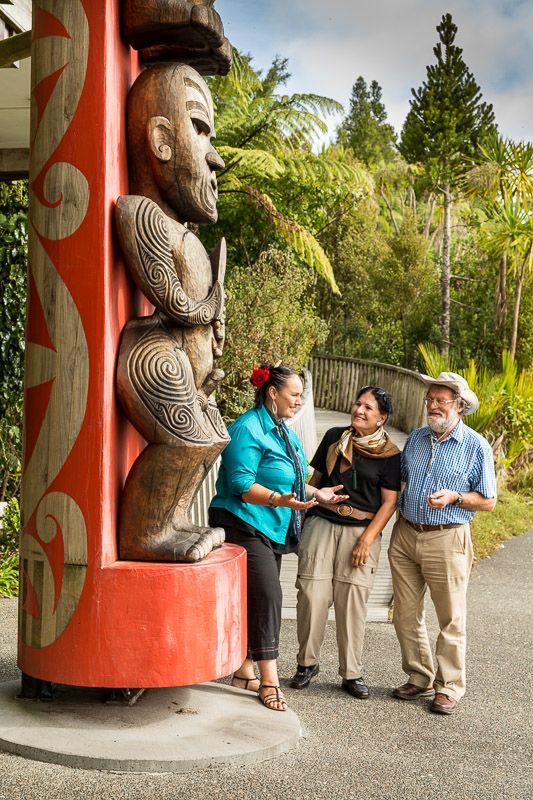 Private Best of Auckland and Maori Culture
