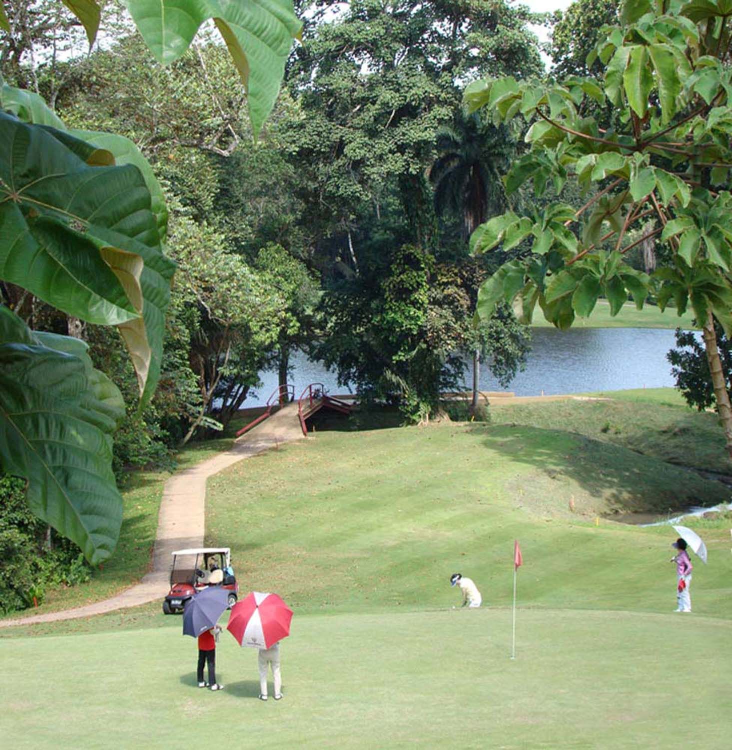 Tee Off Along the Panama Canal: Tucan Golf Experience from Amador Port