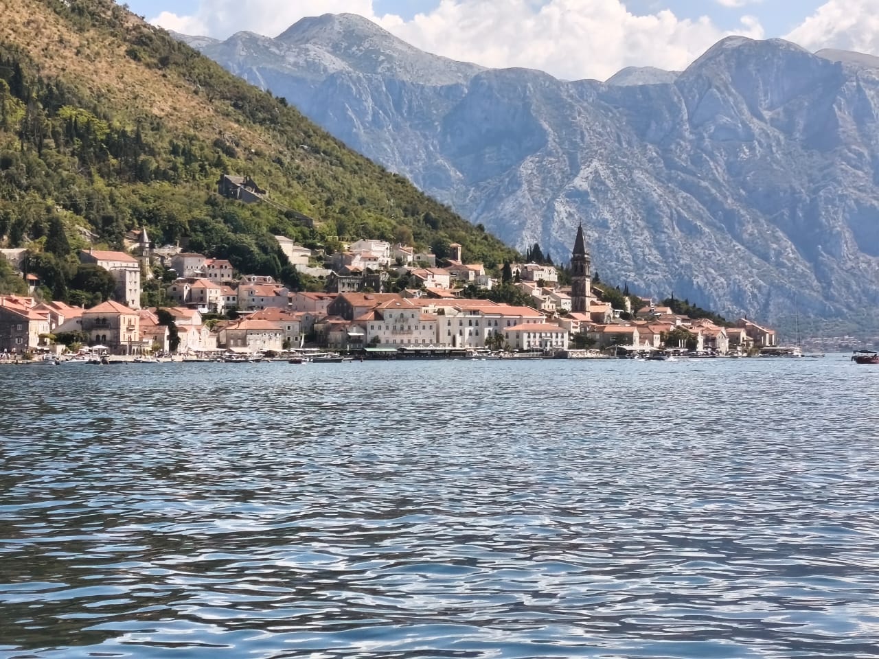 Kotor Bay Speedboat Adventure and Mussel Tasting Experience