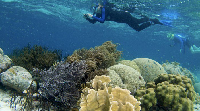 Bonaire Coral Reef Snorkel 