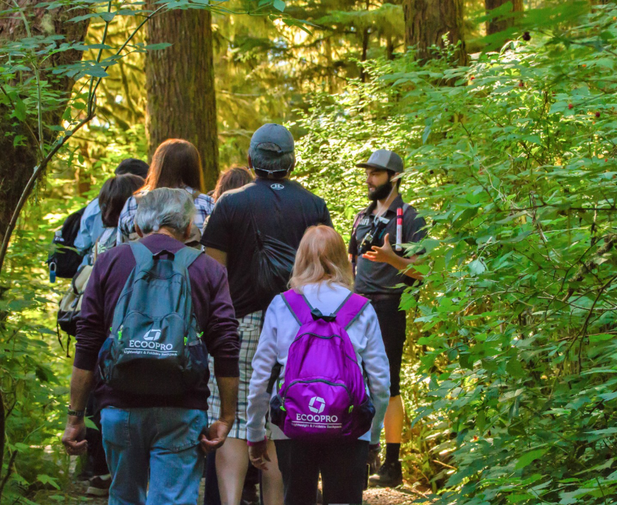 Guided Rainforest Walk