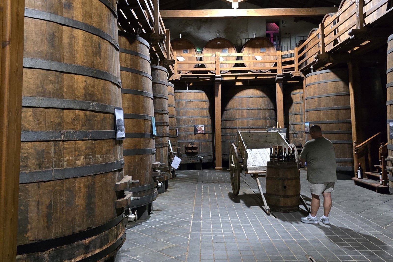 Taormina and Mount Etna Wine Experience: Culture, Landscapes, and Flavors