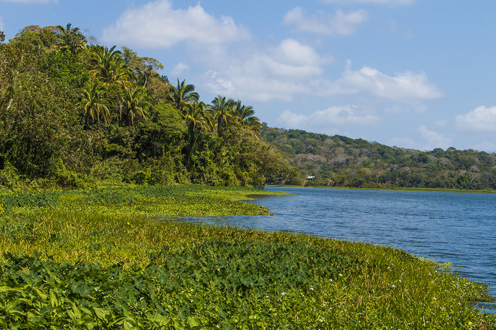 Gamboa Rainforest and Chagre River Boat Sail