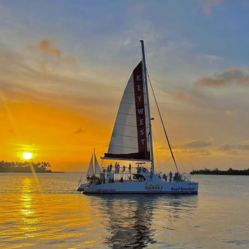 Sunset Dolphin Encounter and Snorkel Adventure
