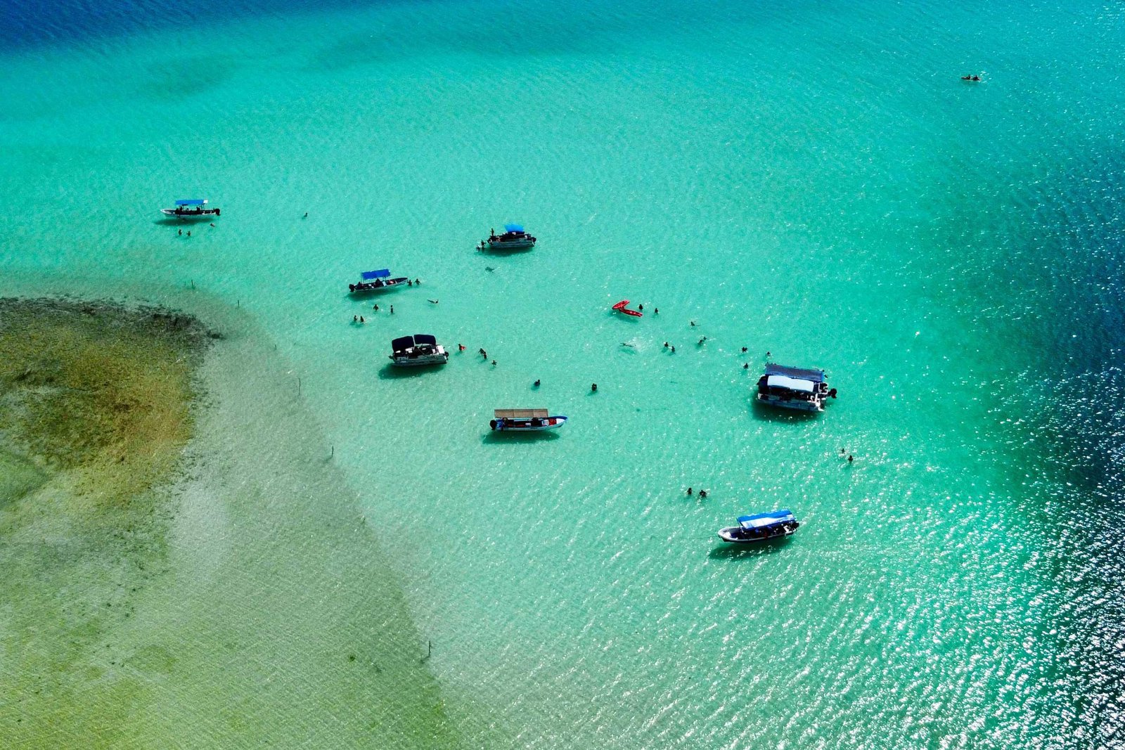 Cenotes Discovery Tour by Boat Plus Lunch