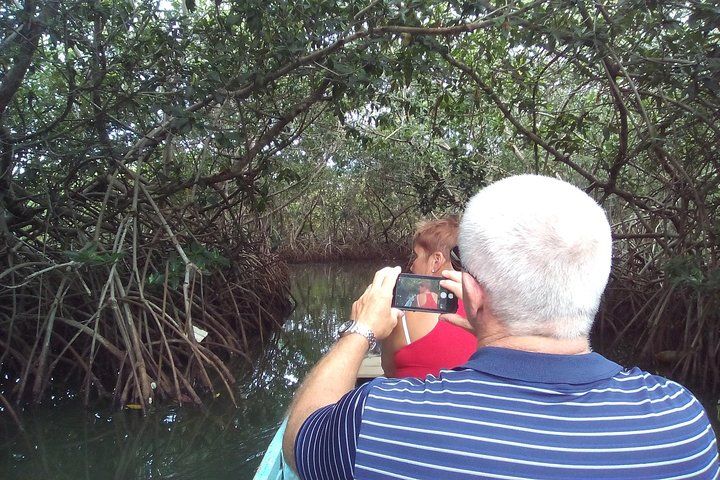Private Tour - Cartagena Secrets of the Mangroves
