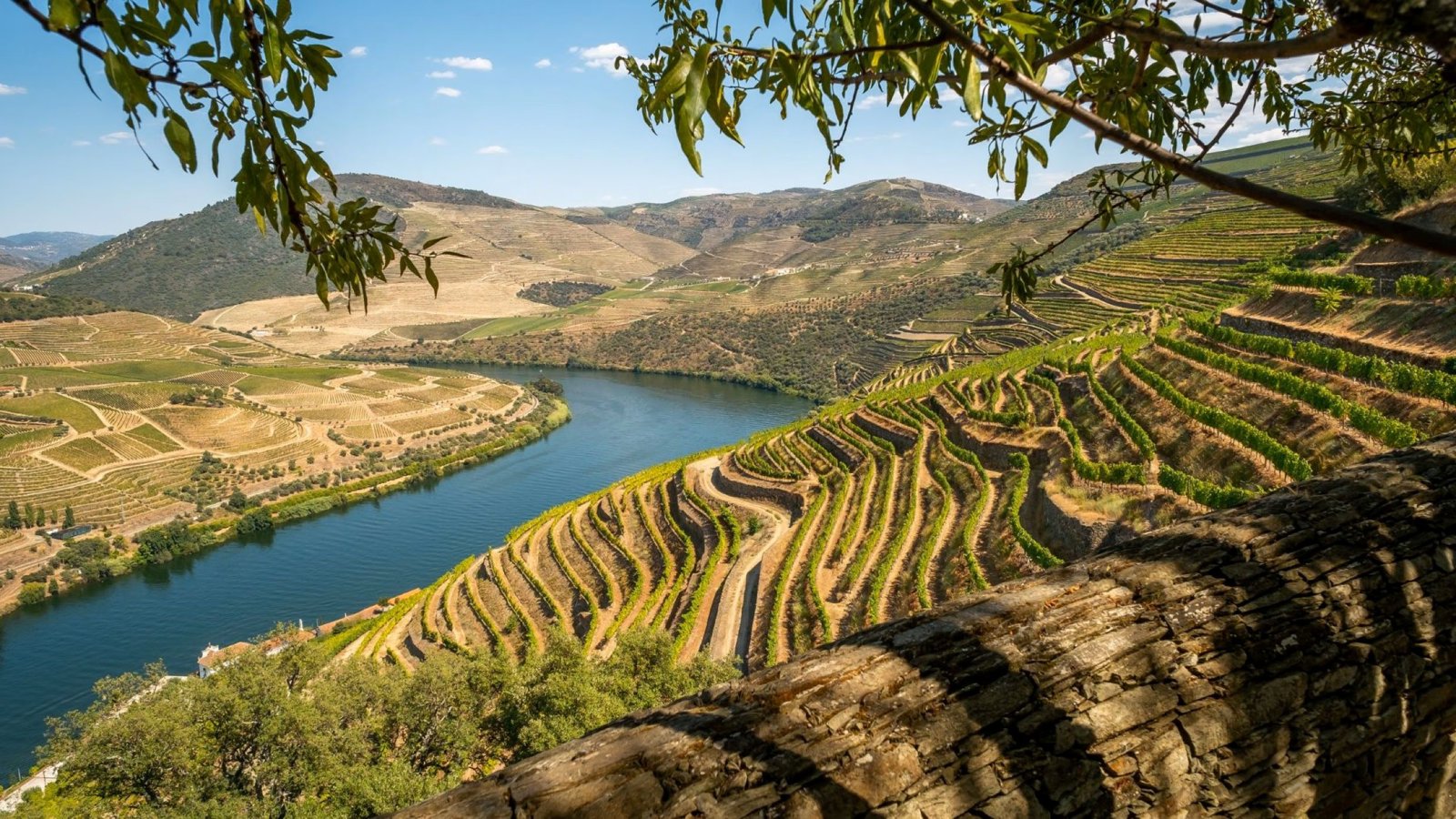 Private Full-Day Douro Valley Tour: Wine, Landscapes and Heritage