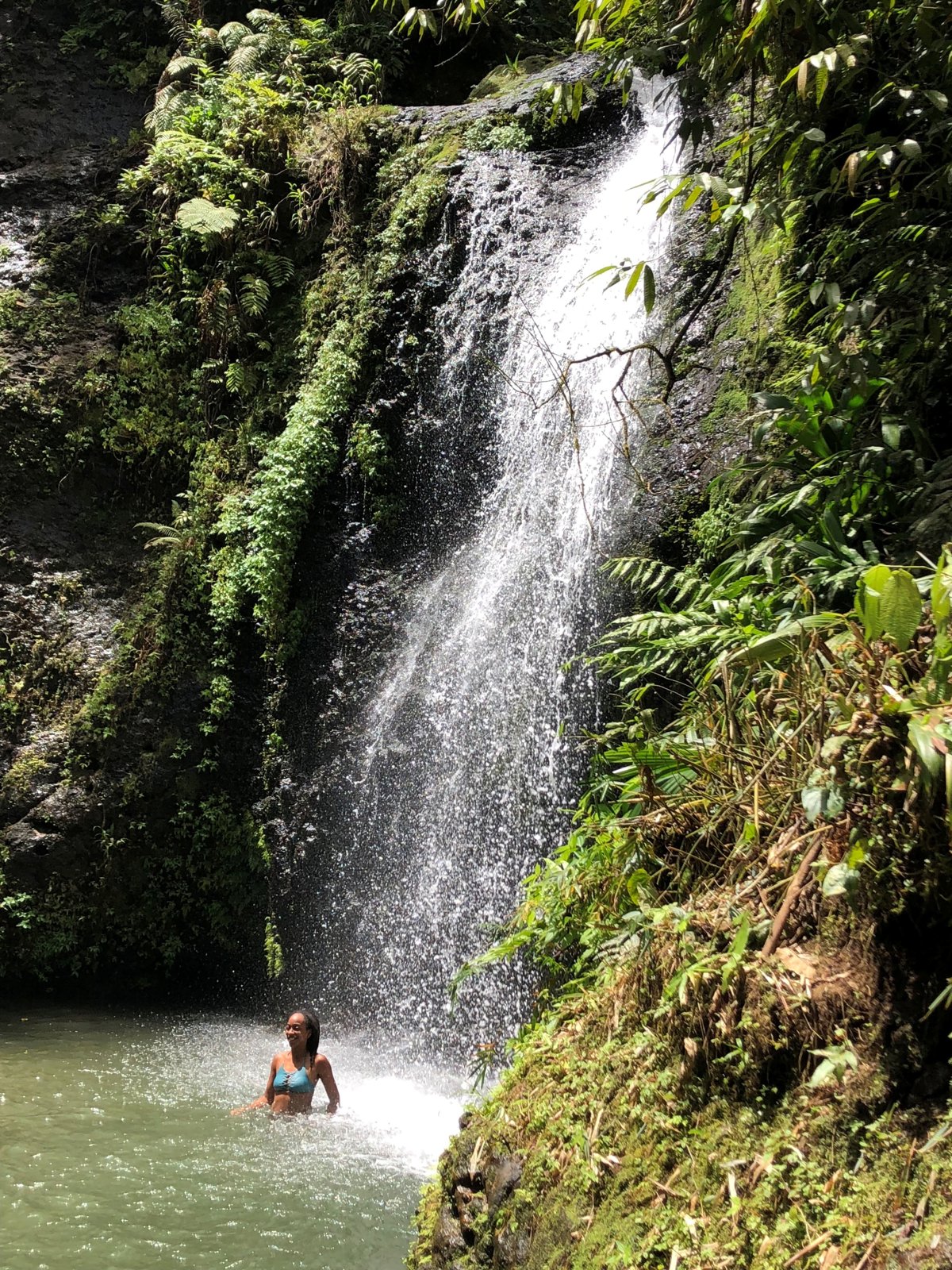 Private Northern Martinique Discovery