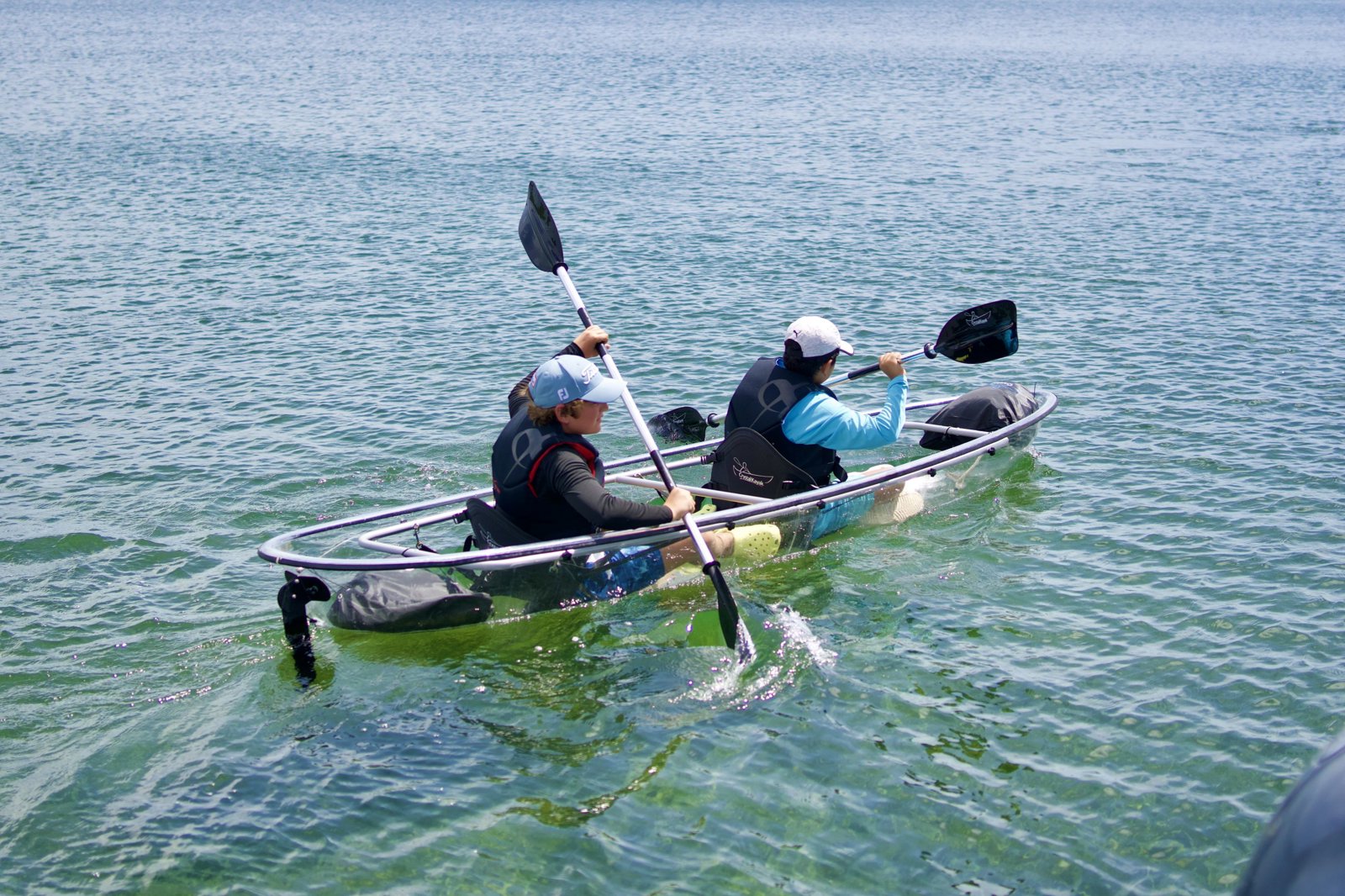 Mangrove Lagoon Combo Tour with Kayaking and Snorkeling