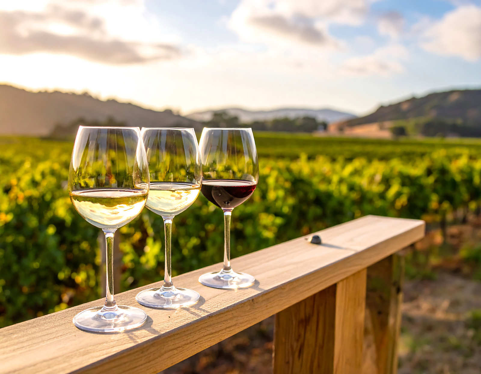 Taste and Tour: Christchurch and the Waipara Wine Region with Lunch