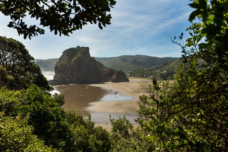 Private Best of Auckland Sightseeing Tour