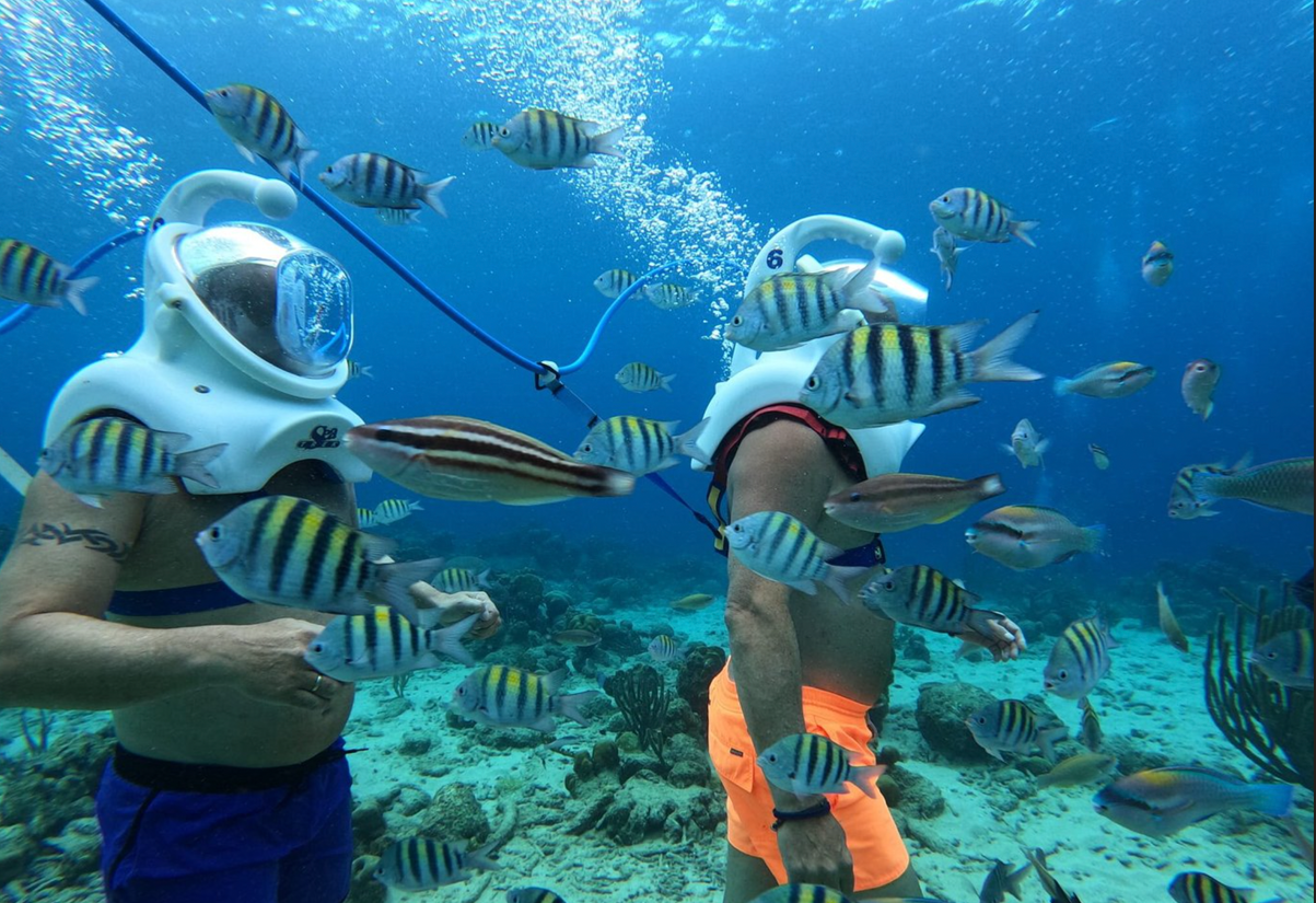 Walk Beneath the Waves