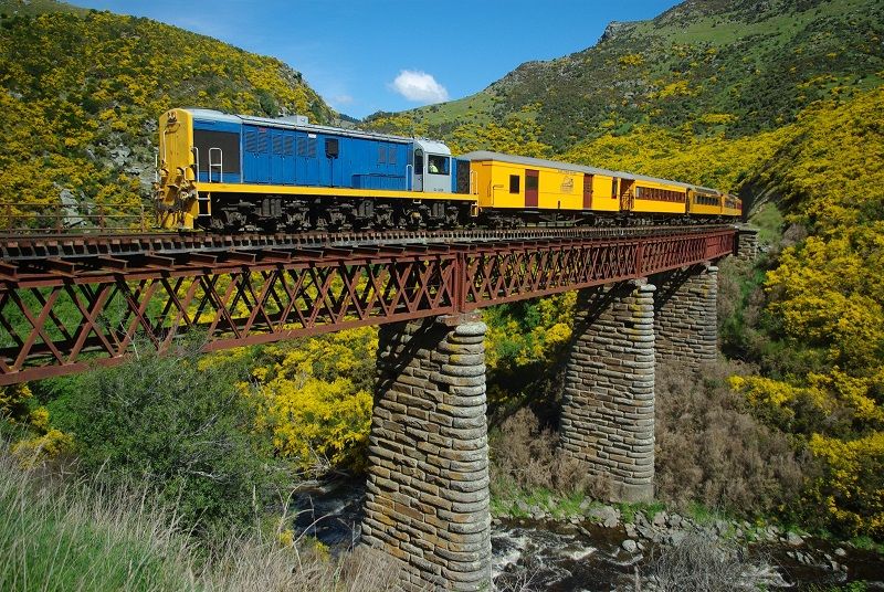 Taieri Gorge Rail Adventure with Dunedin Scenic City Tour