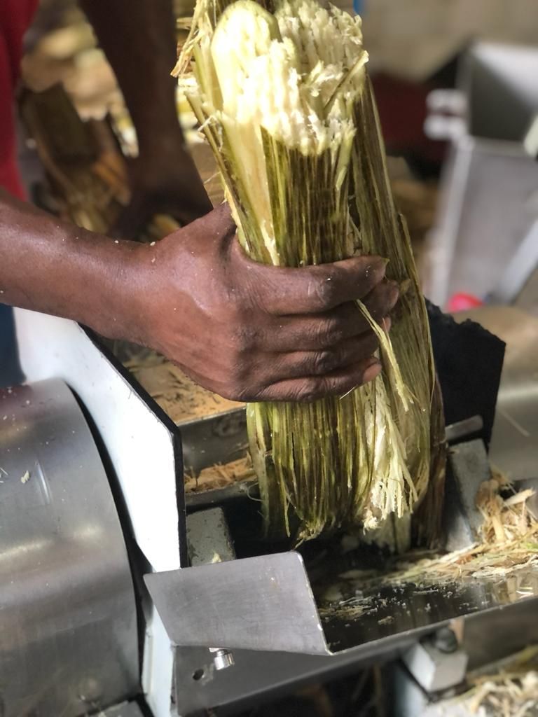 Best of Martinique Culinary Walking Tour