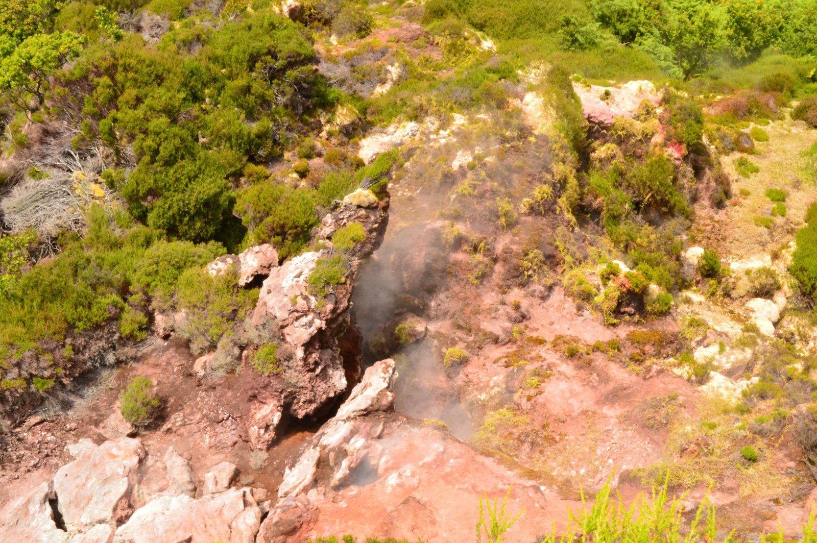 Explore the Volcanic Wonders of Terceira Island