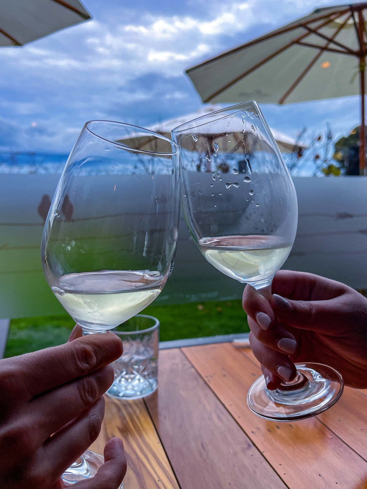 From Vine to Wine - Marlborough Wine Country Half Day Experience