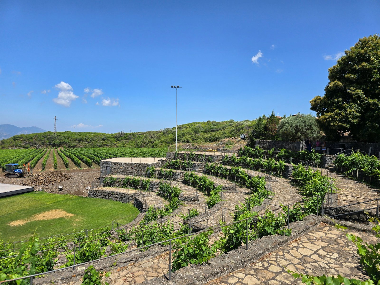 Randazzo and Etna Wine Discovery