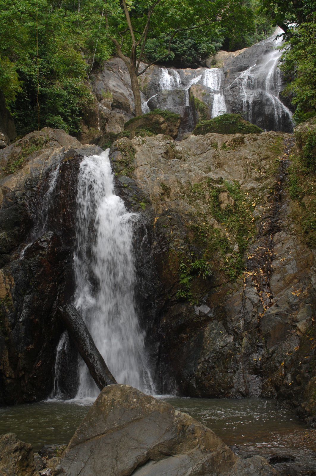 Argyle Waterfalls Nature Experience