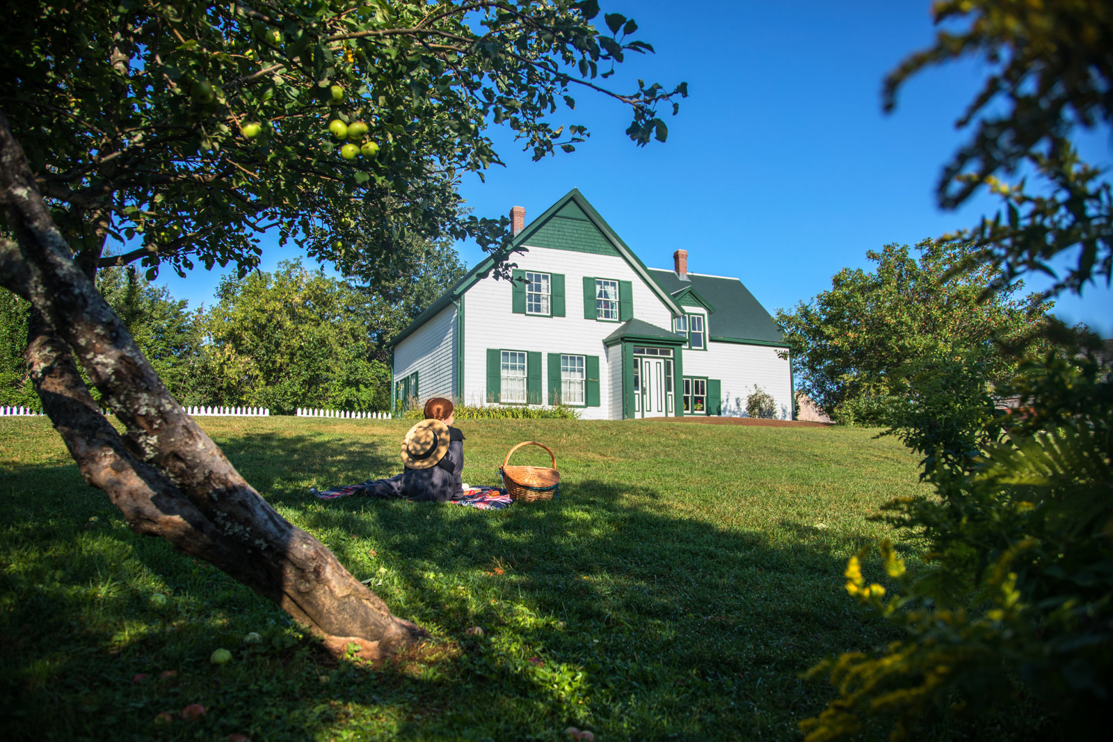 Island Drive And Anne of Green Gables