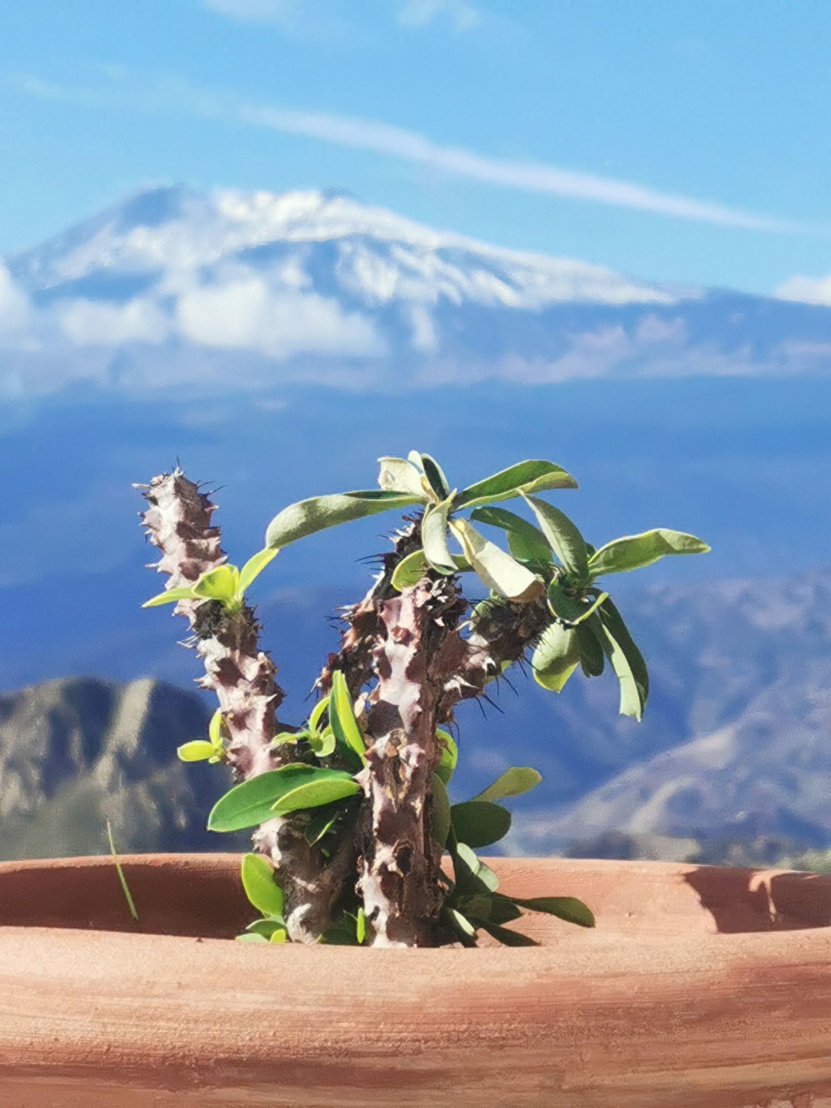 Mount Etna and Taormina: Nature, History, and Sicilian Flavors