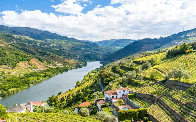Private Full-Day Douro Valley Tour: Wine, Landscapes and Heritage