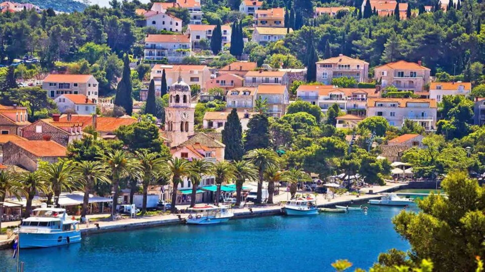 Private Tour Discovering the Beautiful Town of Cavtat
