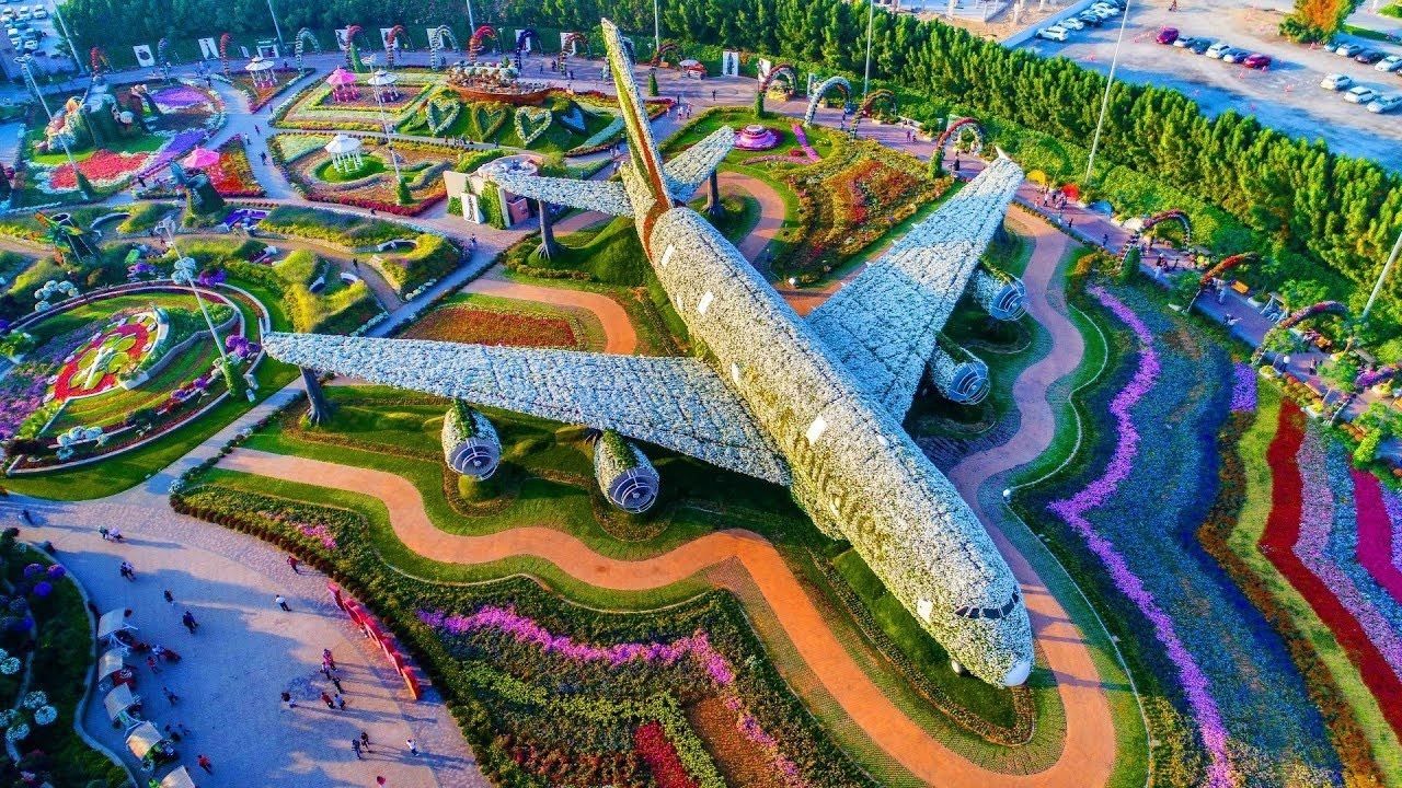 Private Dubai Miracle Garden Scenic Experience