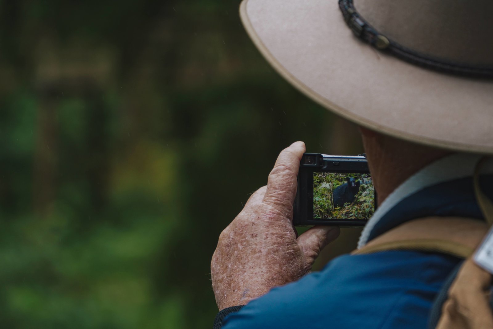 Bear Viewing and Wildlife Search