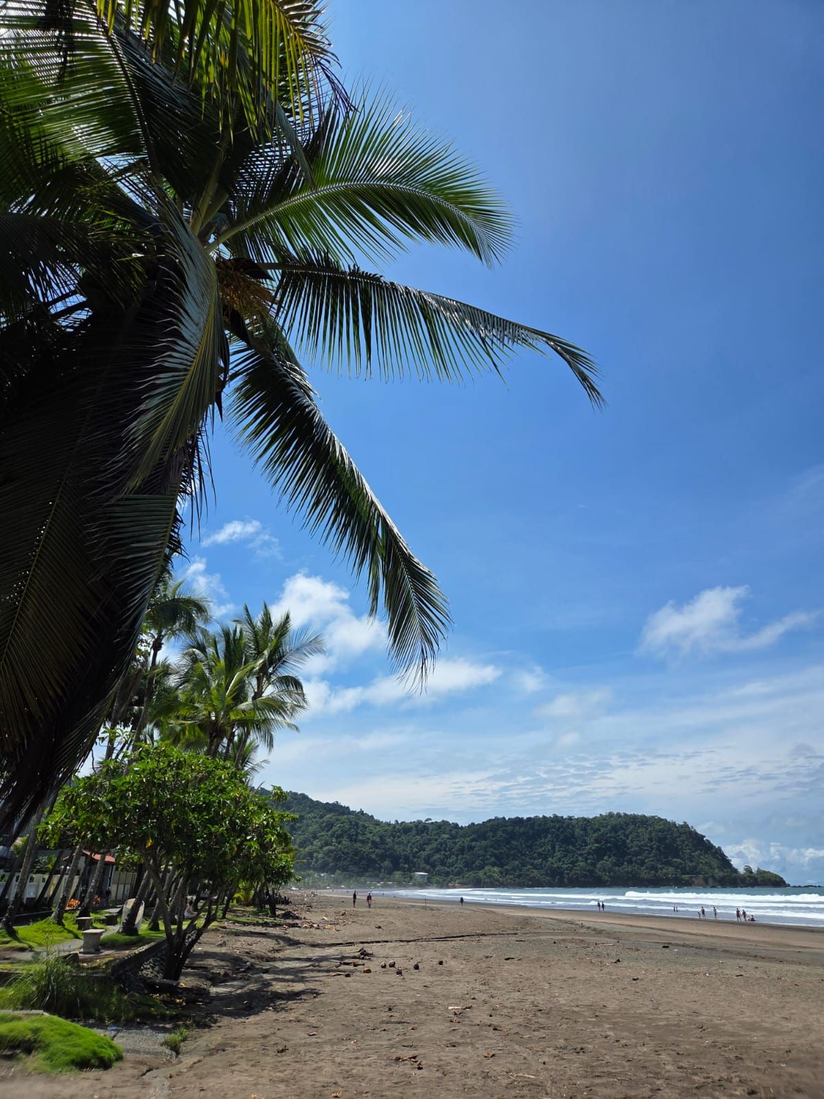 Jaco Explorer: Beach, City and Culture