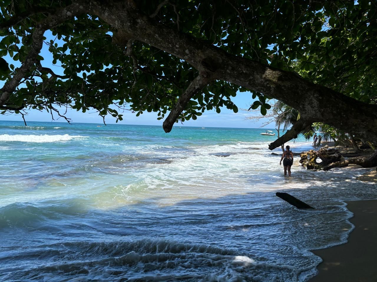 Pura Vida Beach Party
