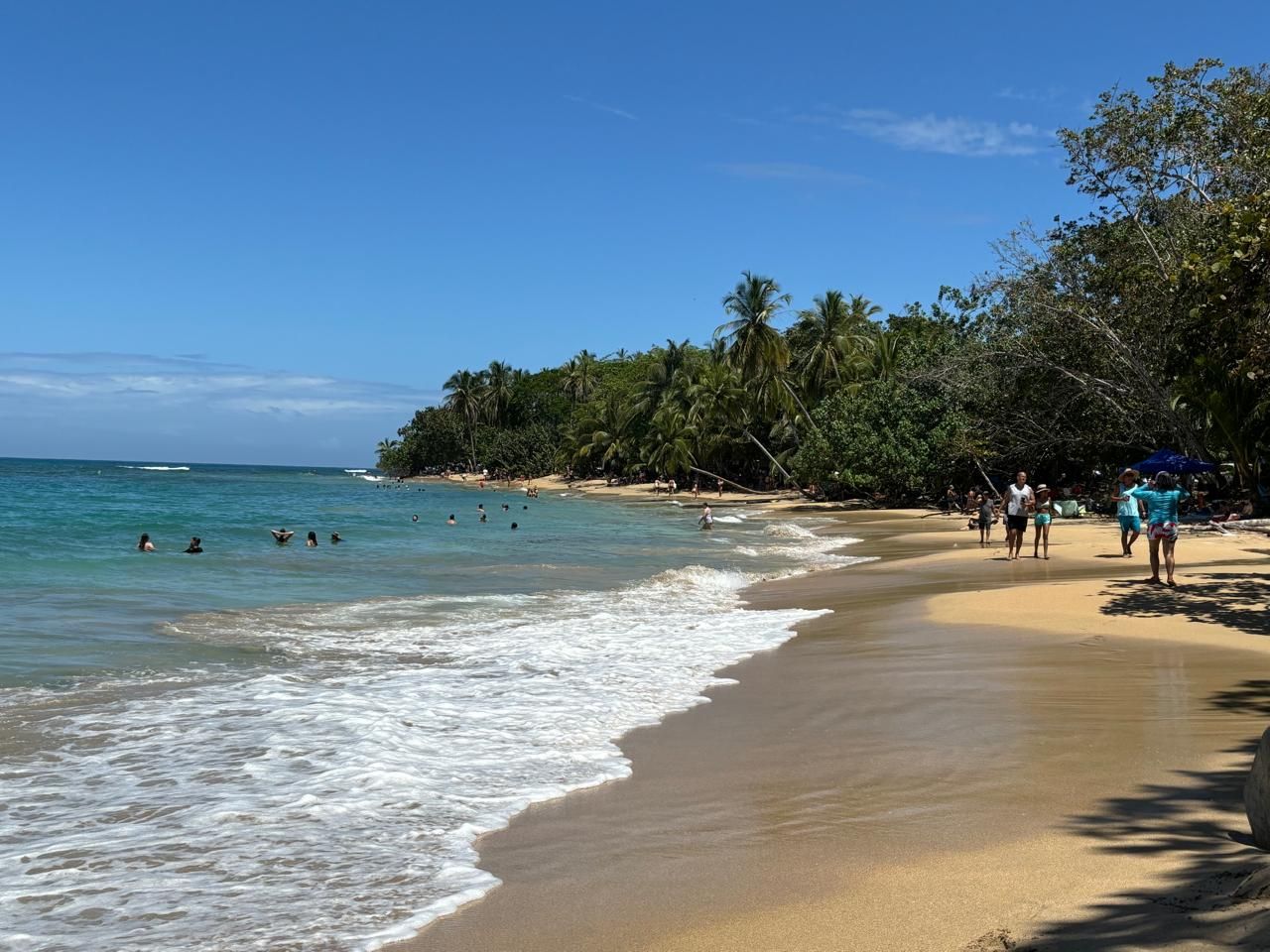 Pura Vida Beach Party