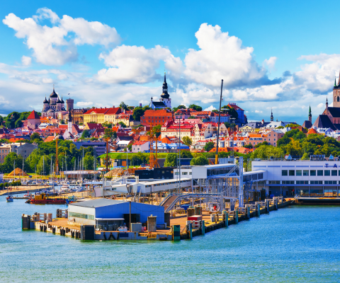 Private Luxury Tour of Tallinn With Lunch 