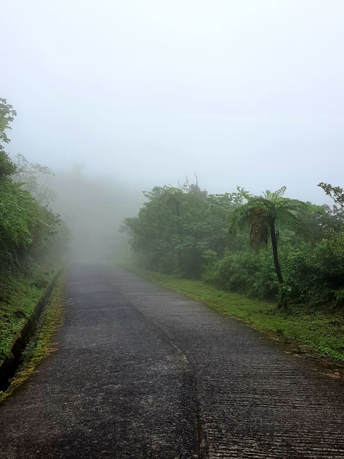 Waterfalls and Wonders: A Scenic Escape into Dominica’s Rainforest