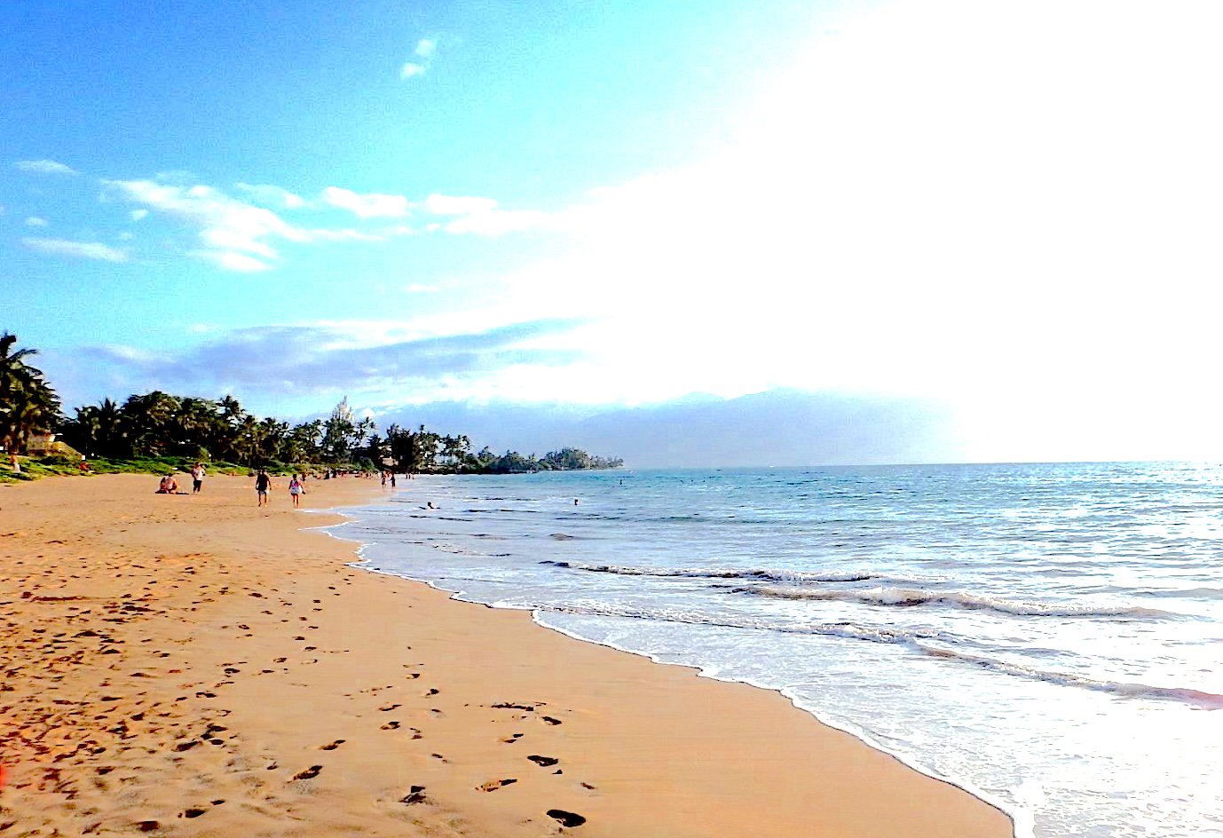 Shoreline Escape: Maui Beach Day Express