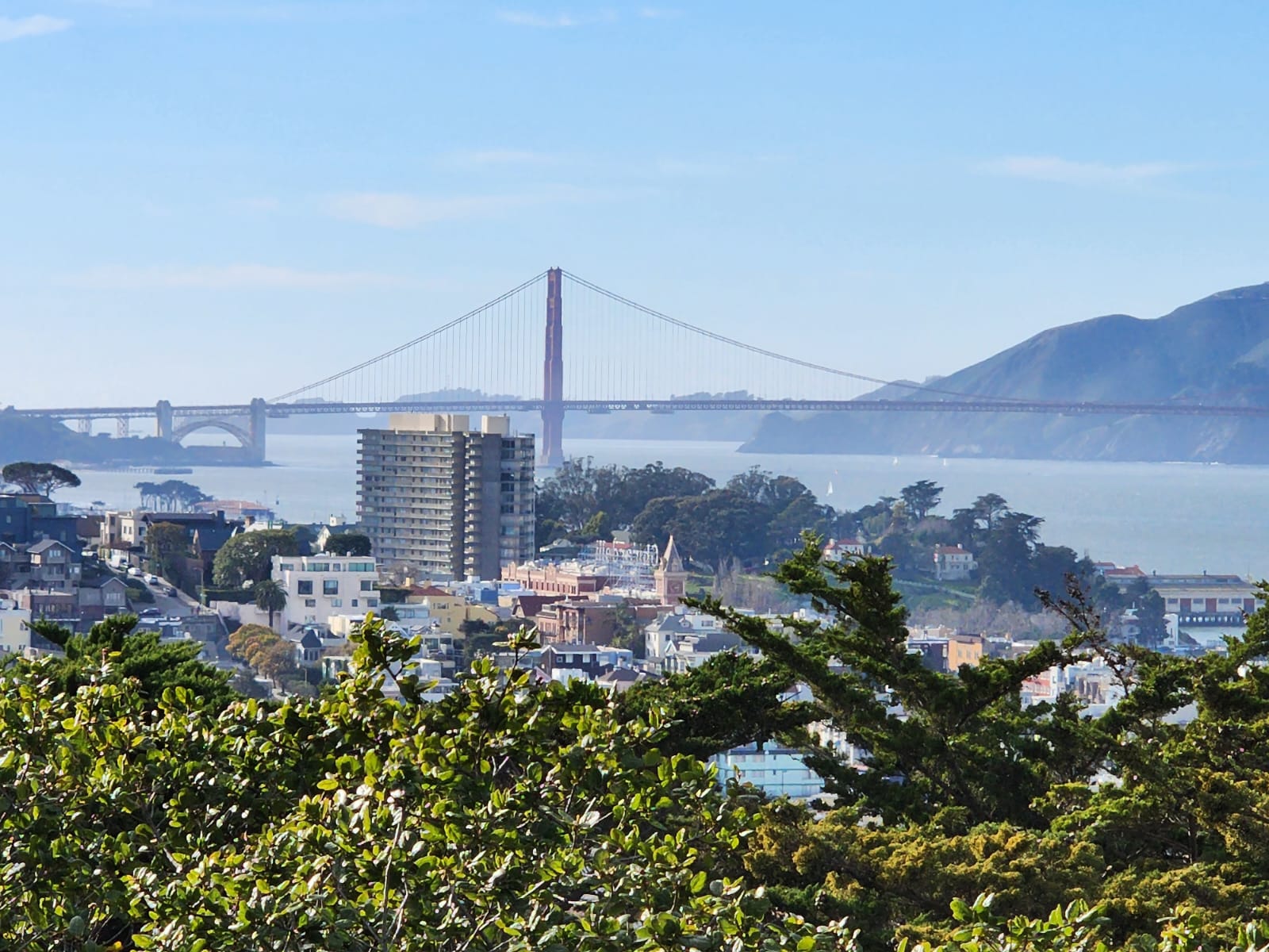 Pre Or Post Cruise Private San Francisco Highlights Full Day Tour